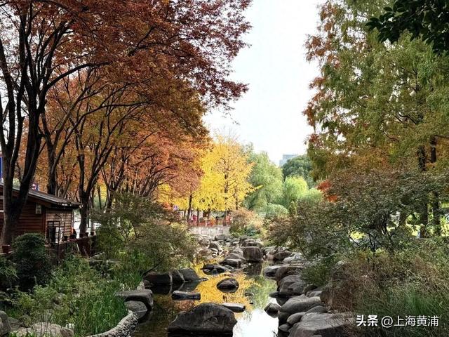 紧临外滩、豫园！居民游客都来打卡这片24小时不打烊的“森空间”：实在太美了！