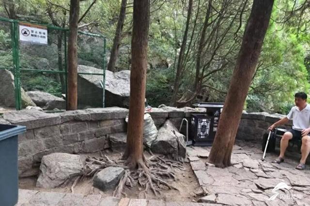 游客爬泰山有了休息驿站！泰山十二连盘微景观改造升级