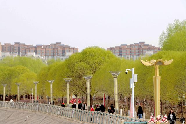 组图丨武威天马湖畔：踏春赏景赴约春天正当时