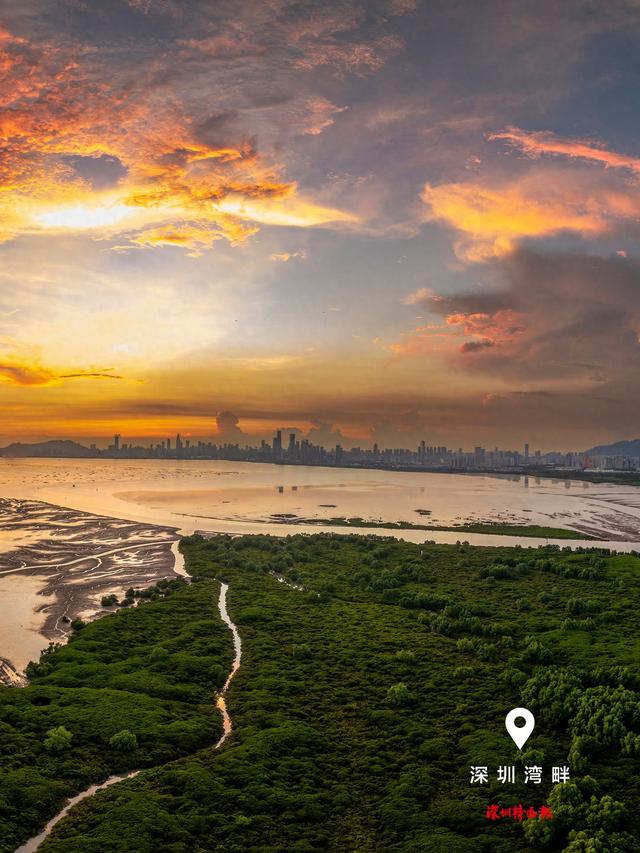 美丽深圳·每日一图｜2025年9月6日