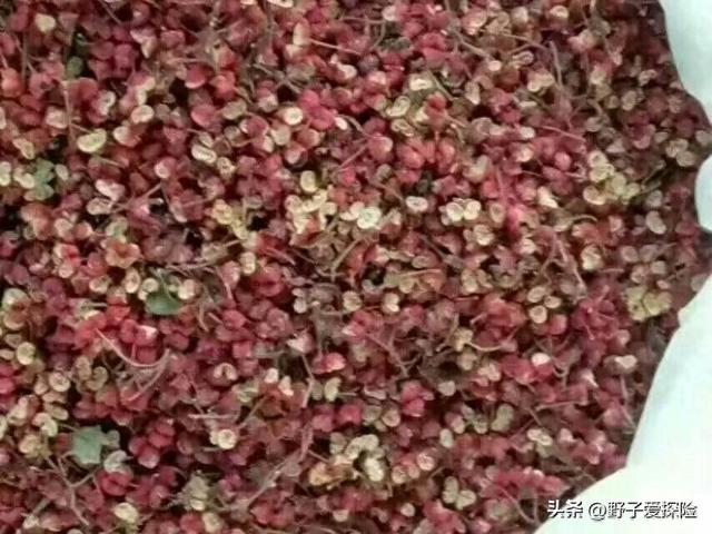 老辈传下的“土办法”：25个生活小妙招，第一个就惊艳到我了