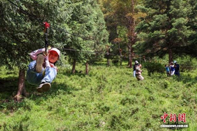 祁连山的“新友与故交”：体验守护多样生态之美