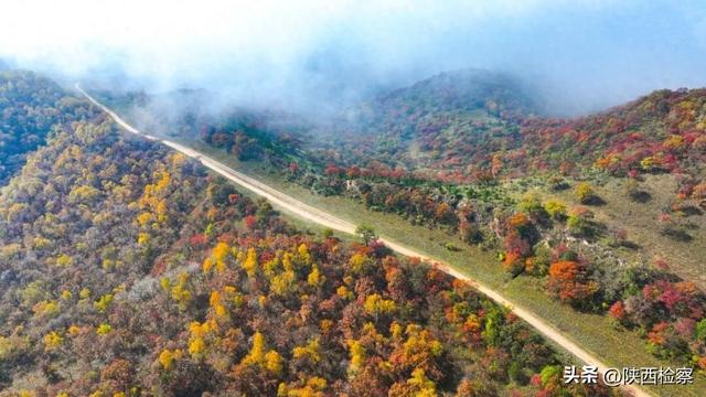 【检事漫谈】寻一条“直”道