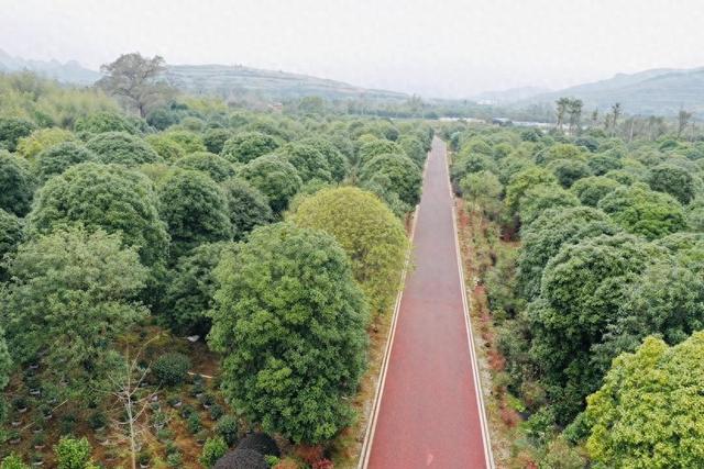 收藏这条宝藏路线！解锁桂林山水运动新玩法