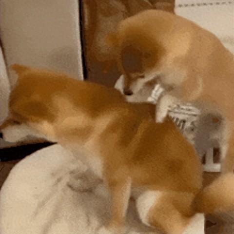 平曼音