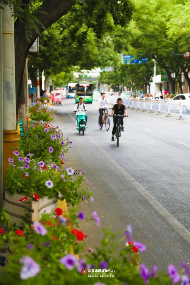 临夏市：一座把“浪漫”写进马路牙子的城市
