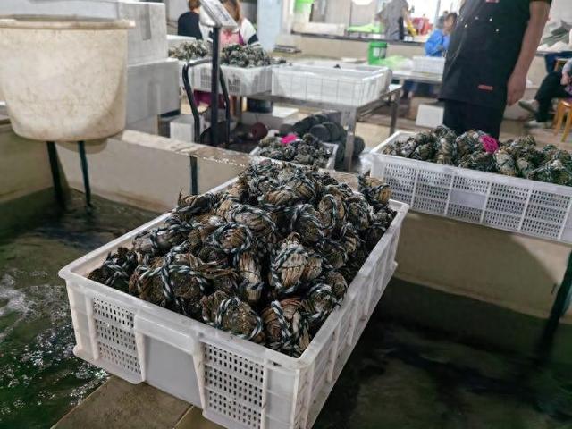 从“幕后”到“台前”：微山湖大闸蟹在拼多多打响“北蟹”名号