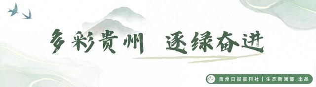 【生态文化】数量全省第一!贵阳230个口袋公园让“千园之城” 添新景