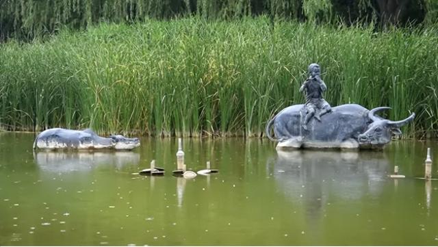 鹿泉：夏日雨后，公园里藏不住的花语