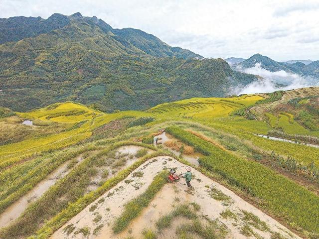 云上梯田“吃上文旅饭”