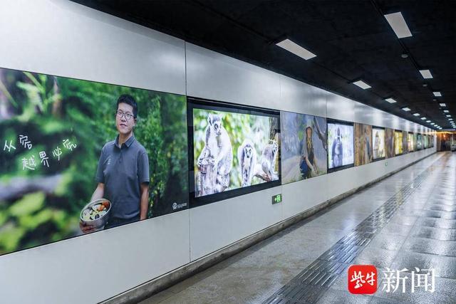 出南京站别急着走！这条5分钟直达红山森林动物园的通道拍照超出片