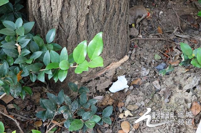 【不文明旅游曝光台】美景之下，别让不文明行为“煞了风景 ”