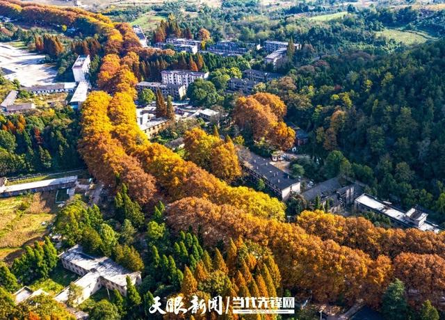 玩转贵安丨走！去贵安新区二十六厂晒太阳