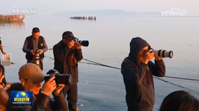 真的很美！2025苏州太湖观鸟超详细攻略来啦！