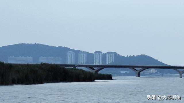 南京降温！卧龙湖、荷花与高楼，藏着秋日限定浪漫