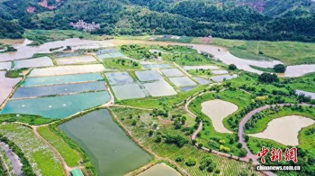 广西梧州：湿地公园景美如画