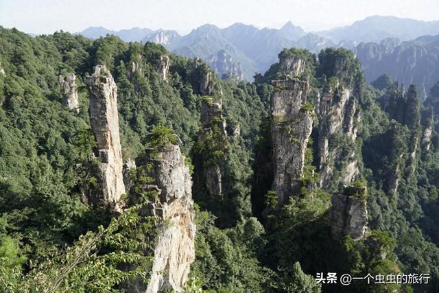 悬浮山实景！张家界天子山，阿凡达导演看了都直呼内行！