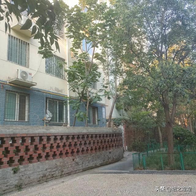 这是哪里？悄悄，悄悄
