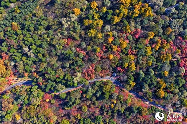 吉林长春：层林尽染 秋色绚烂