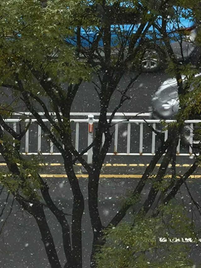 冬游威海 情满山海｜雪已至，威海三条绝美赏雪路线等你来！