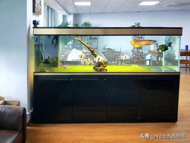 沉淀仓优化（给底滤鱼缸做干湿分离）