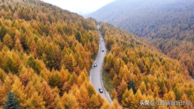 从“顺道游”到“目的地” “五台山后花园”焕新蝶变