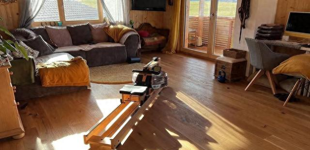 停止运动多少天，等于一切从头再来？