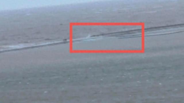 景区观光小火车突然坠海，据称多人遇难，3人来自上海？多方回应