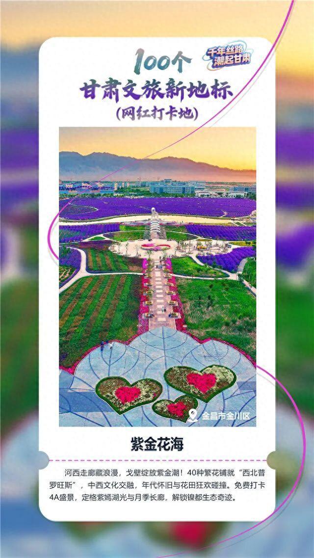 【文旅新地标】紫金花海丨紫色花海观光区
