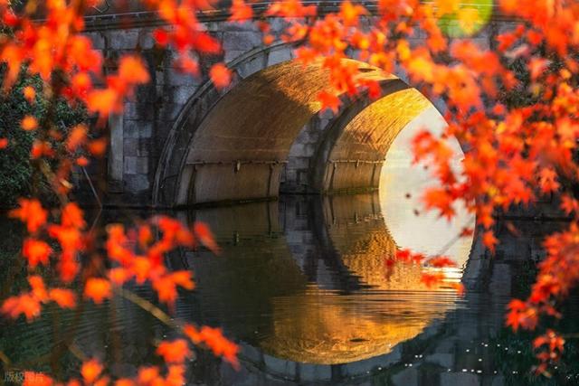 惊喜！杭州2个免费地方的枫叶红啦，超美有古韵，秒杀日本浅草寺