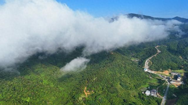 便捷路网通粤港澳 姑婆山“氧”出旅游新活力
