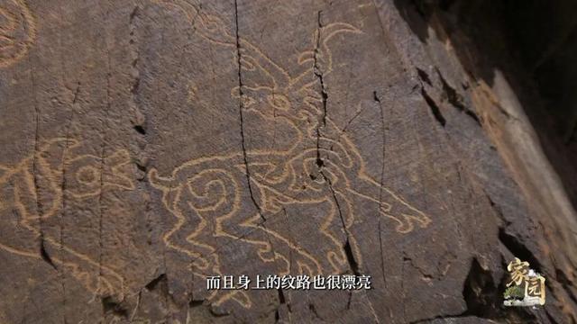 在西藏，有一棵“团结树”