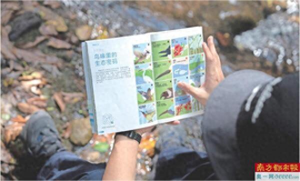 “翡翠项链”串联20余个自然郊野公园