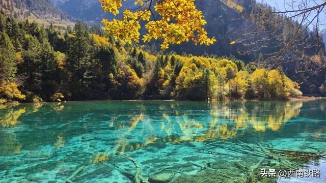 动车出行有多火?这个景区打破40年客流量纪录!