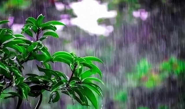 “雨打中伏头，遍地起坟头”，30号中伏下雨有何说法？