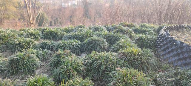 四绝 南北四季差