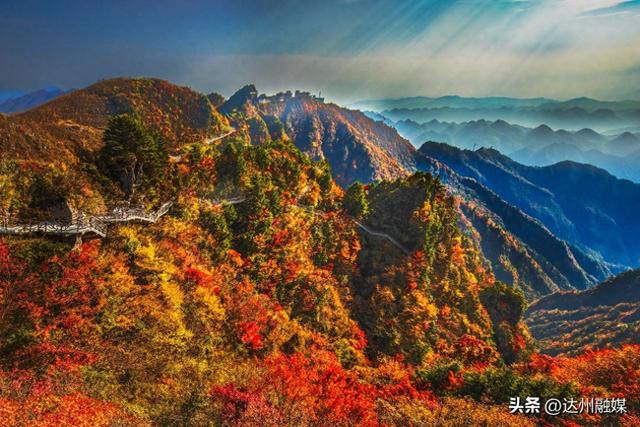 秋假邂逅彩林季！巴山大峡谷迎来新一轮客流高峰