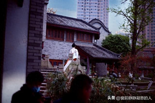 好好活下去游戏攻略（人性铁律看清真相）