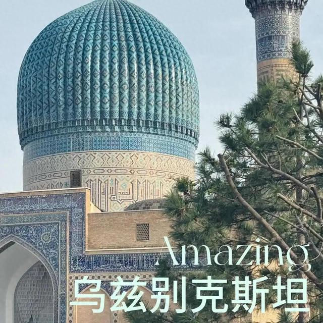 在乌兹别克斯坦出差10天，我被这5件事彻底刷新了认知，太震撼了
