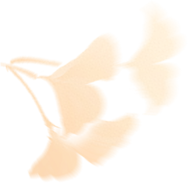 域见上海·域见奉贤｜奉浦秋日限定！这三条宝藏路线，承包所有秋日浪漫，刷爆朋友圈就靠它