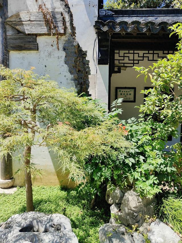 苏州的免费小众秘境，一座园林的夏日、亲情与永恒温度​！