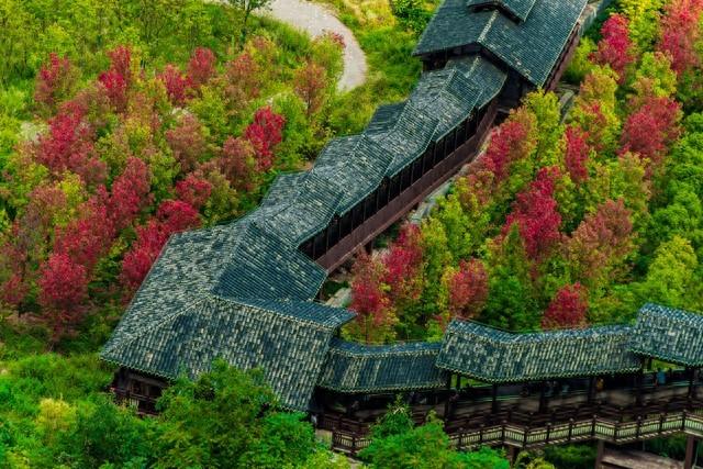 再不去就亏了！恩施这5个秋日秘境，第一个就让你惊艳到说不出话