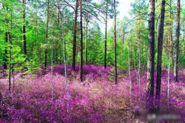 发现了没有，很多丧偶的女人	，在外面从来不说！自己是已经丧偶的