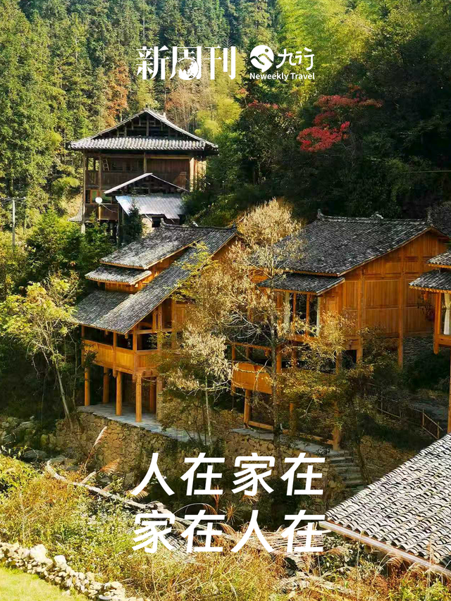 今年最流行的旅行方式，是去村里“看房”