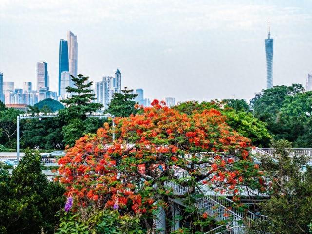 2025中国康养城市10强榜单出炉，海口第2，昆明第4！