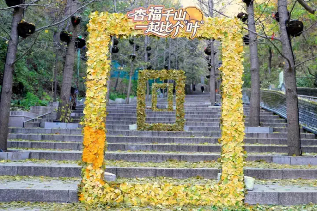 属于你的秋日浪漫盛宴！2025千山银杏节来啦！