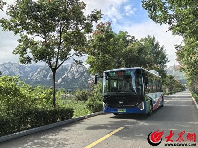 秋日漫游青岛，搭乘这些公交线路邂逅最美季节