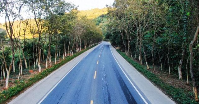 【精彩梁河】让出行成为享受 梁河公路冬日“双花”争艳