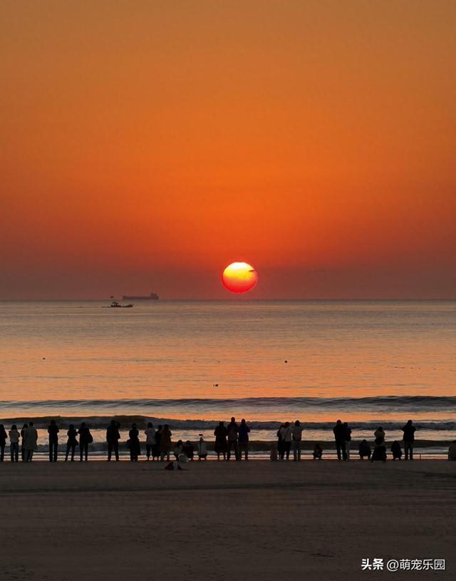 清晨闹钟响了别赖床，东沙海滨日出震撼，大青山露营太治愈