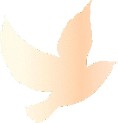 3.8元起！鹰潭⇆龙虎山⇆上清古镇！鹰潭首条站点巴士开通！